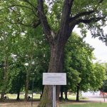 Diario di viaggio: il fabbro Franz a Modena