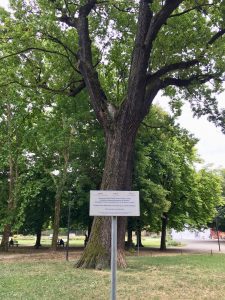 Diario di viaggio: il fabbro Franz a Modena