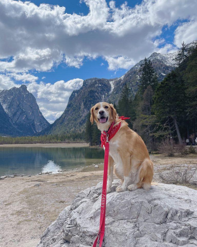 Lago di Braies e Val Pusteria cosa vedere