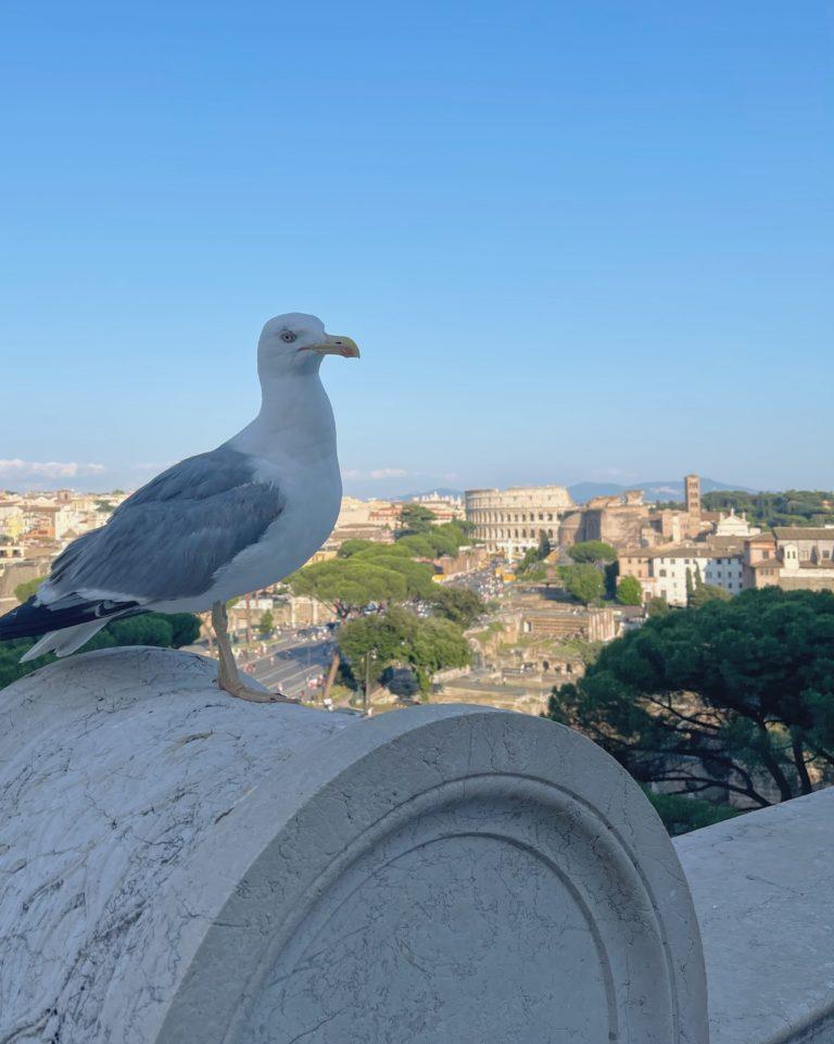 Le terrazze più panoramiche di Roma