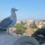 Le terrazze più panoramiche di Roma