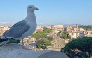 Le terrazze più panoramiche di Roma