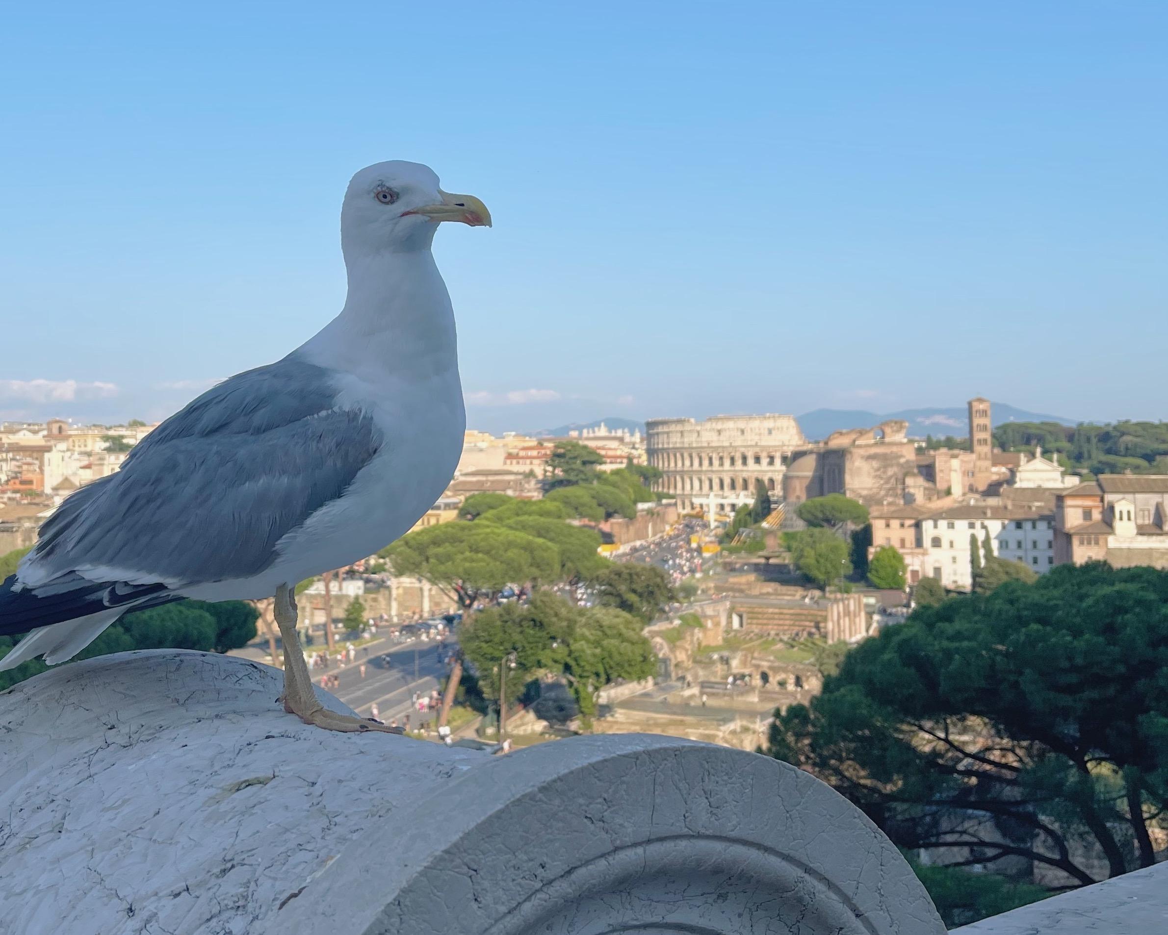 Le terrazze più panoramiche di Roma