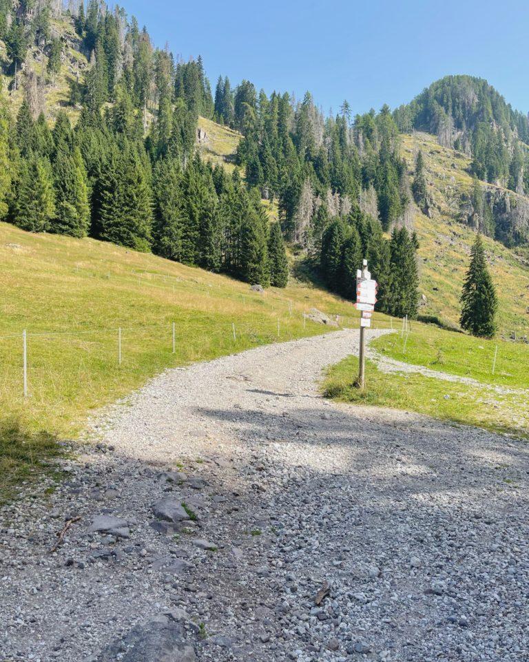 Fiera di Primiero e San Martino di Castrozza sentieri facili