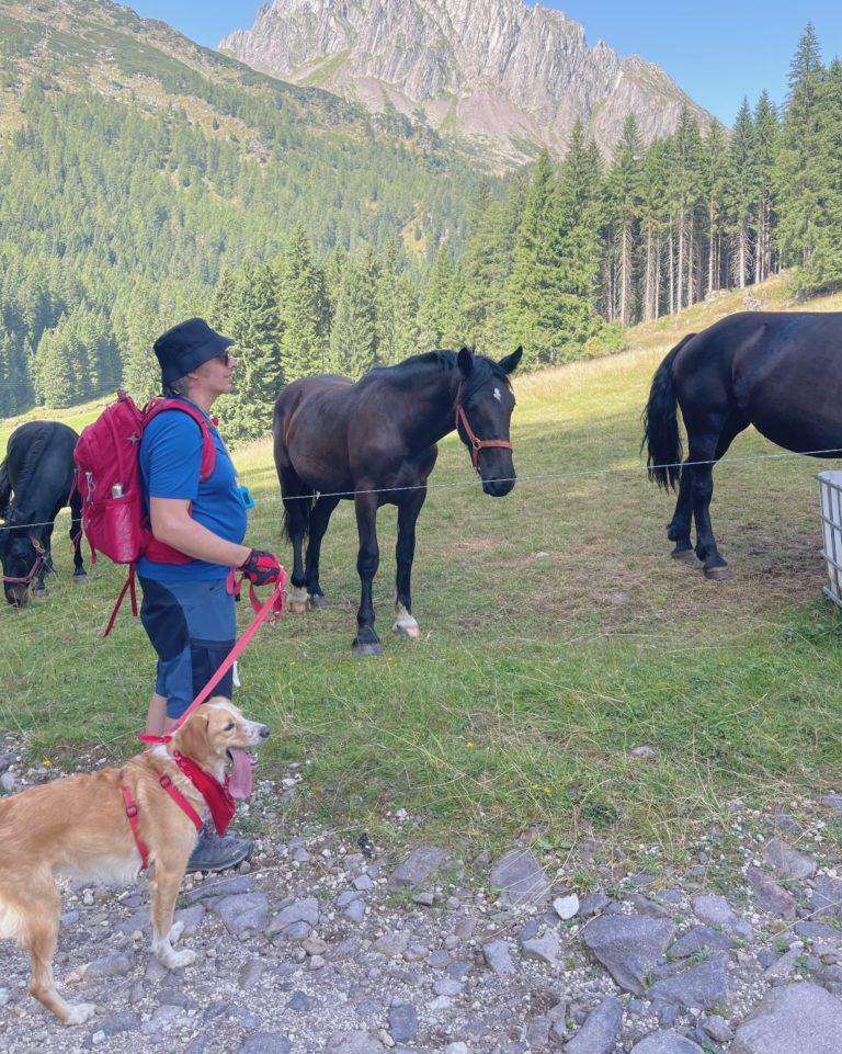 Fiera di Primiero e San Martino di Castrozza sentieri facili