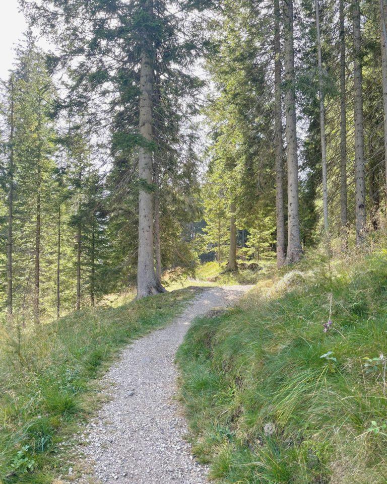 Fiera di Primiero e San Martino di Castrozza sentieri facili