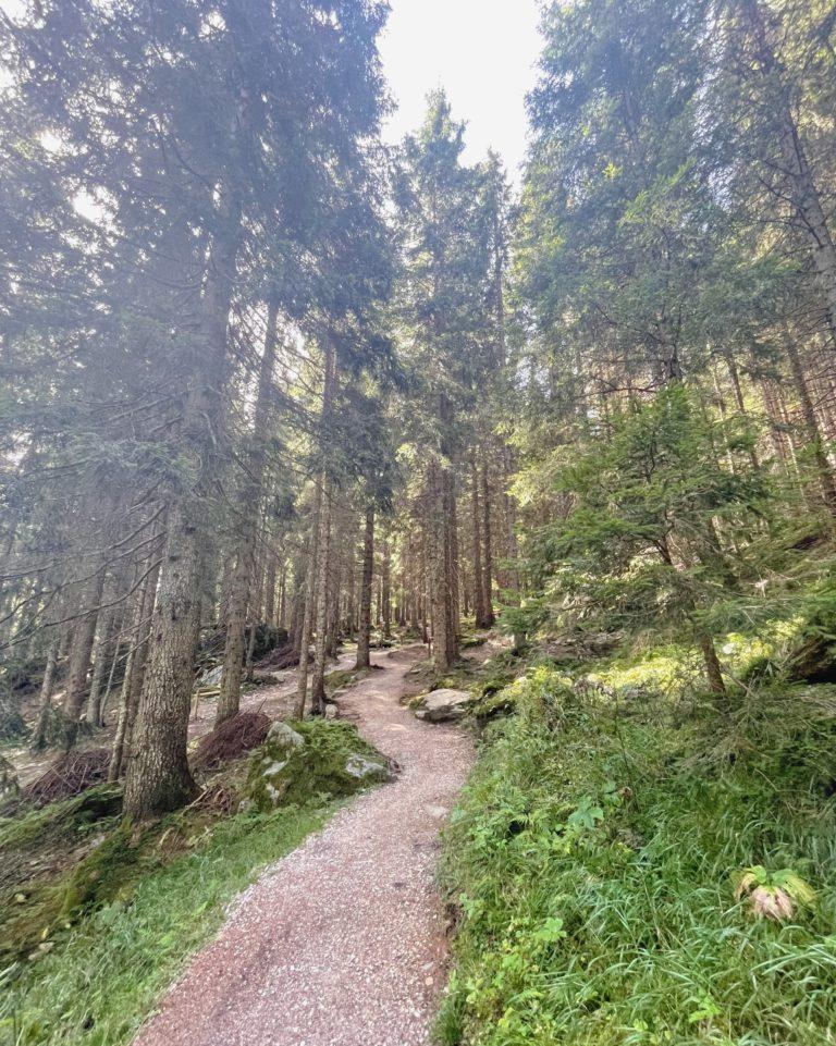 Fiera di Primiero e San Martino di Castrozza sentieri facili