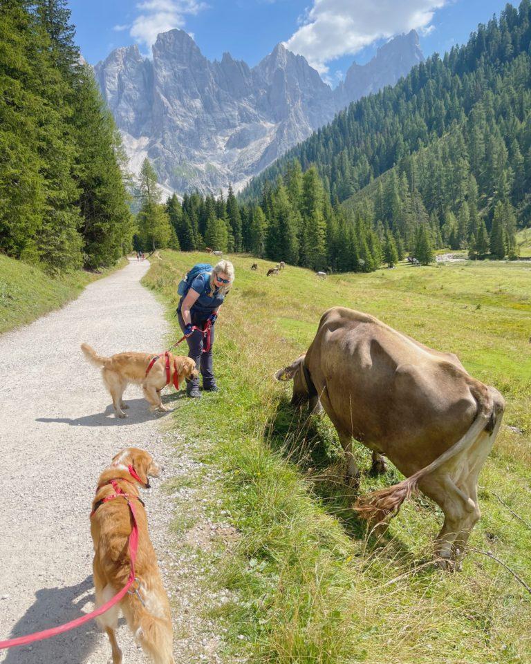 Fiera di Primiero e San Martino di Castrozza sentieri facili