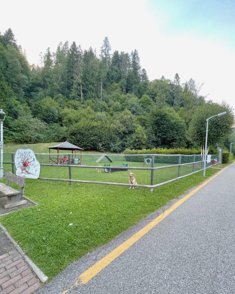 Fiera di Primiero e San Martino di Castrozza sentieri facili