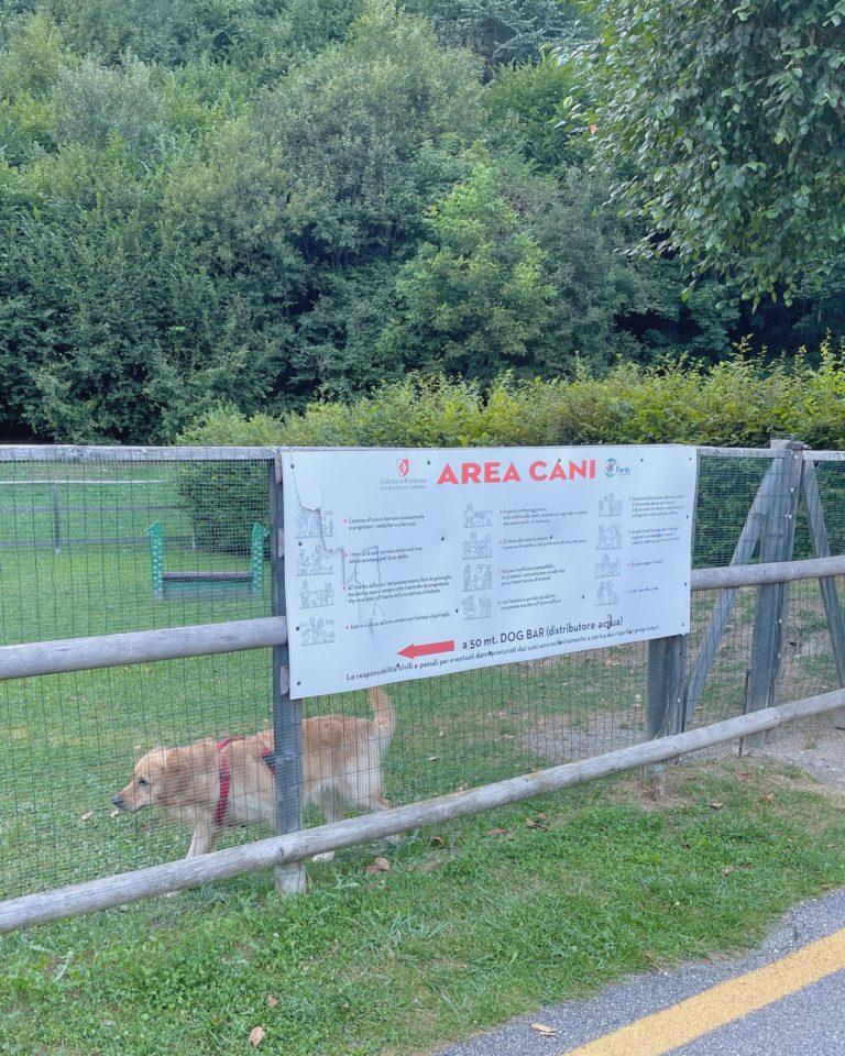 Fiera di Primiero e San Martino di Castrozza sentieri facili