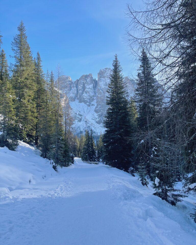 Fiera di Primiero e San Martino di Castrozza in inverno