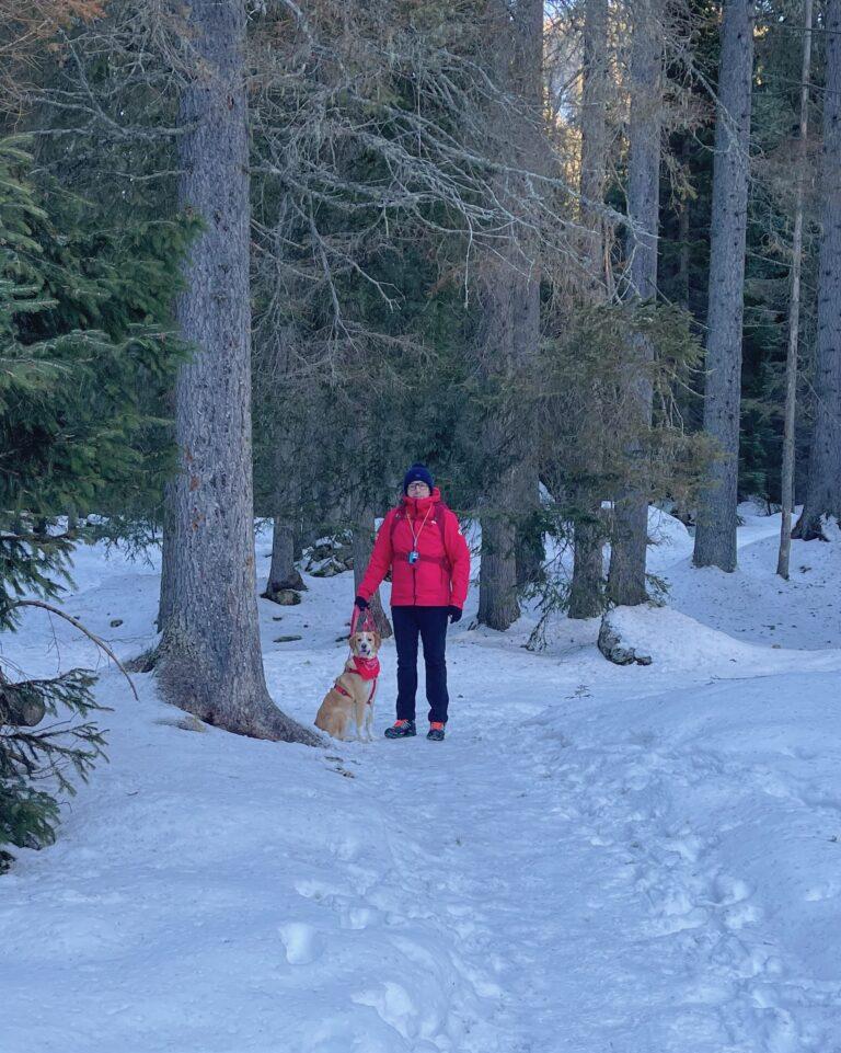 Fiera di Primiero e San Martino di Castrozza in inverno