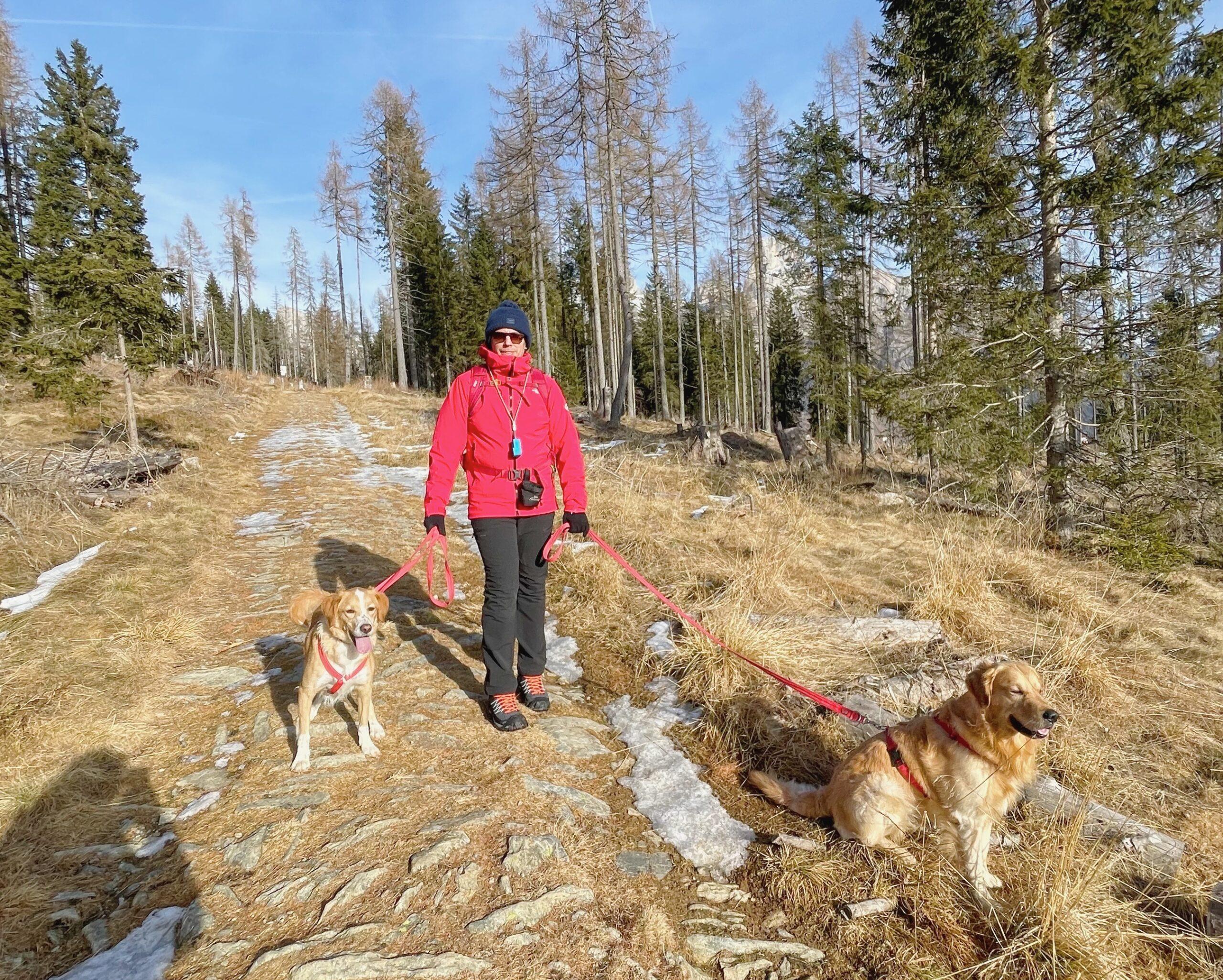 Fiera di Primiero e San Martino di Castrozza in inverno