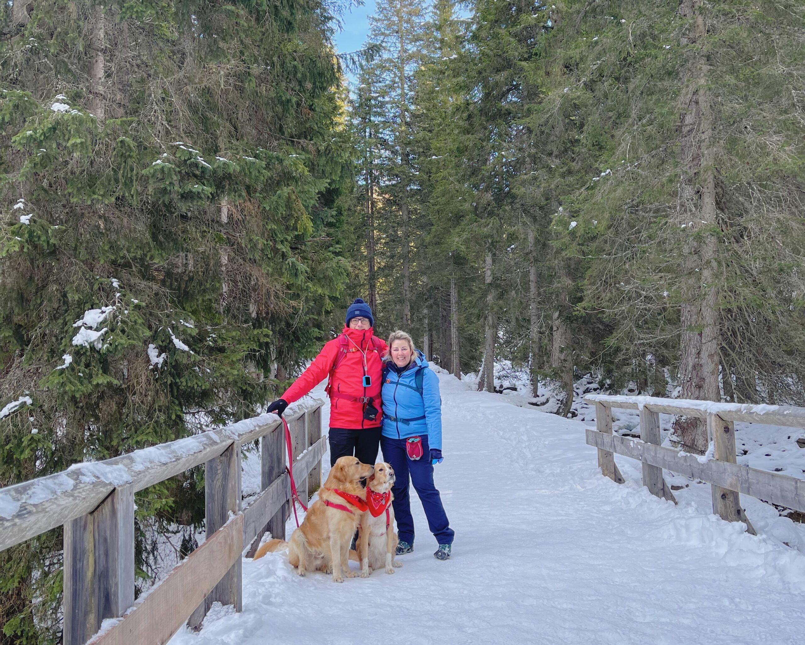 Fiera di Primiero e San Martino di Castrozza in inverno