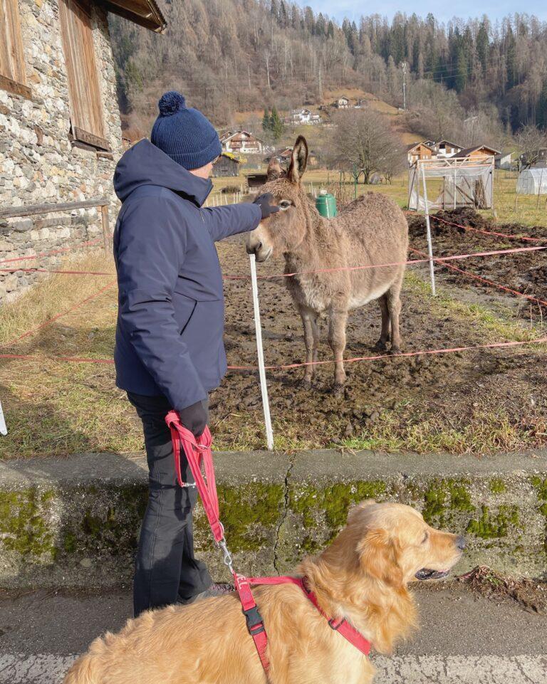 Fiera di Primiero e San Martino di Castrozza in inverno