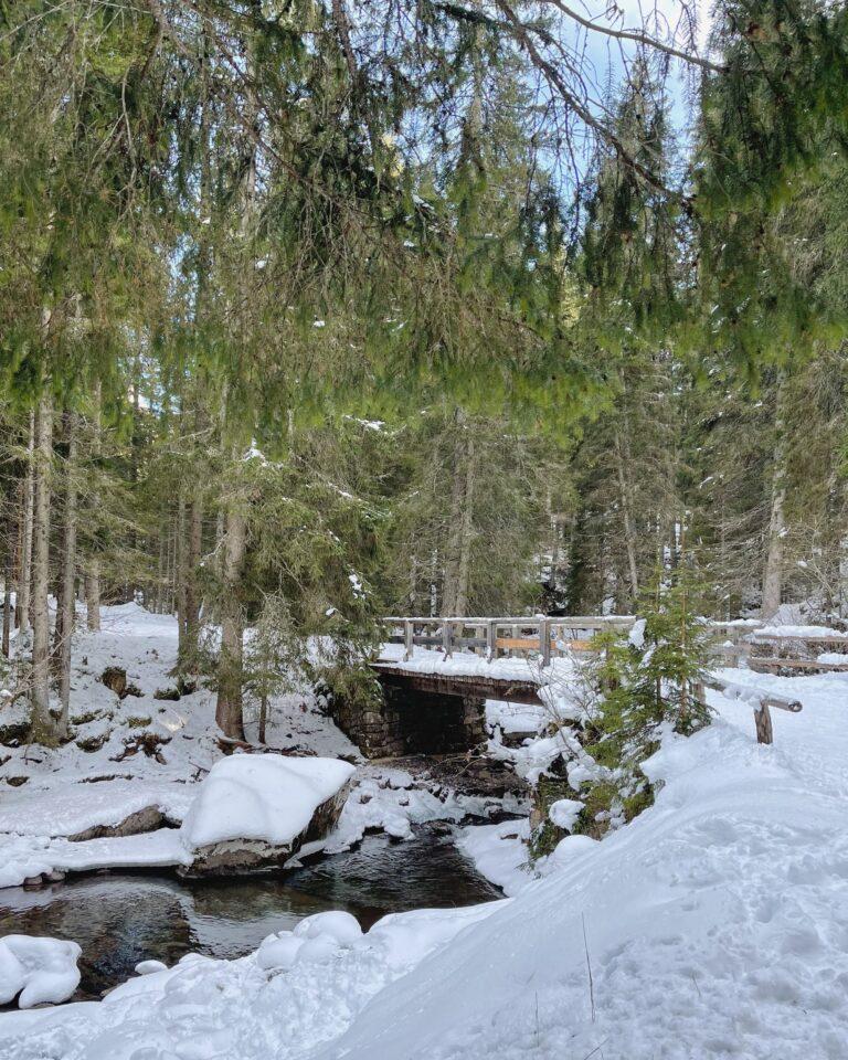 Fiera di Primiero e San Martino di Castrozza in inverno