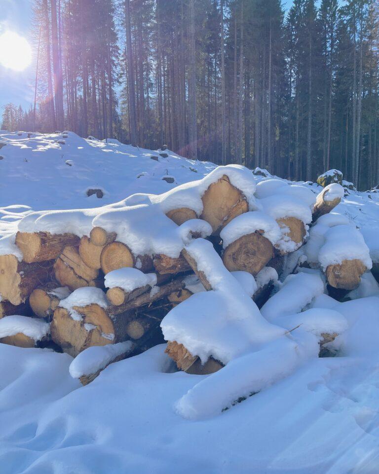 Fiera di Primiero e San Martino di Castrozza in inverno