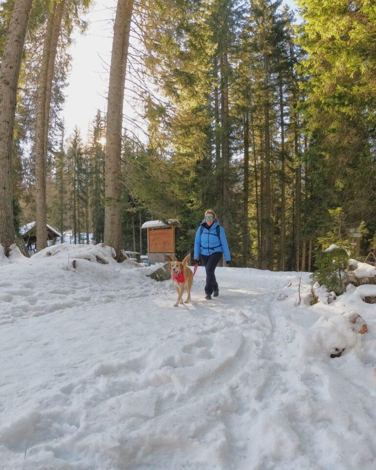 Fiera di Primiero e San Martino di Castrozza in inverno