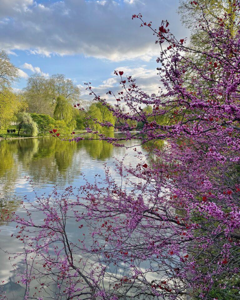 Cosa vedere a Londra le tappe imperdibili