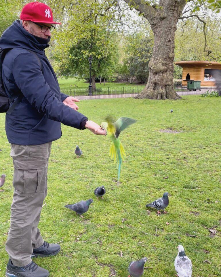 Cosa vedere a Londra le tappe imperdibili