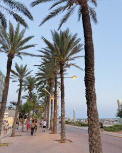 Maiorca senza auto e senza filtri il nostro viaggio tra tuffi, sorprese e tanto caldo