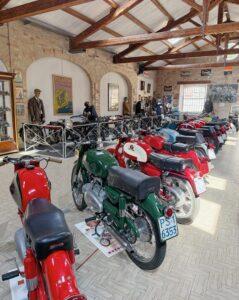 Cosa fare, vedere e mangiare a Pesaro