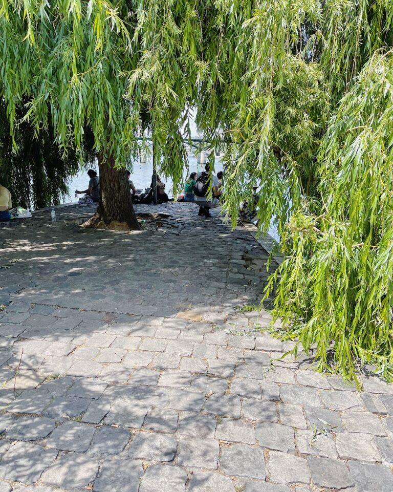 Parigi insolita: luoghi segreti e curiosi lontano dai turisti