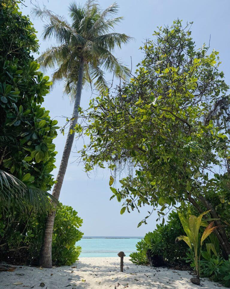 Tornare alle Maldive, questa volta al Furaveri